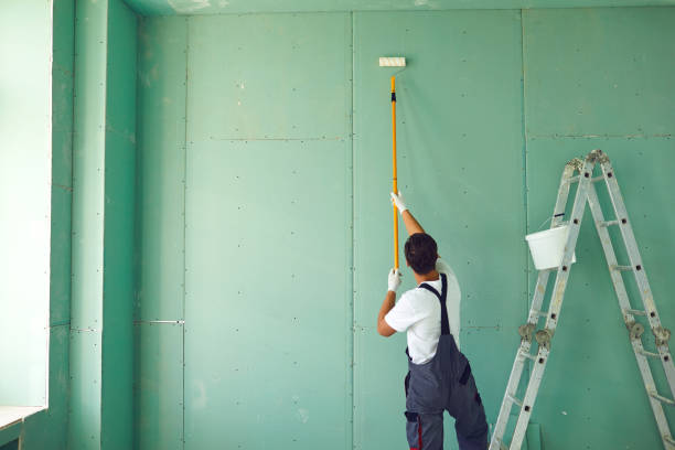 Professional Mold Removal in Memphis, TX