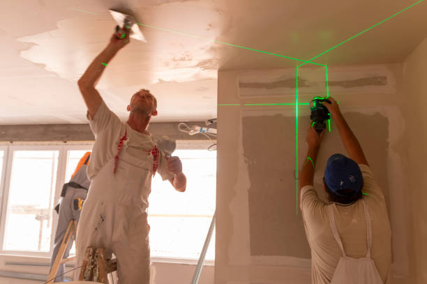 Best Basement Mold Removal  in Memphis, TX